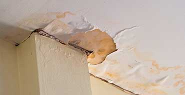 Damp and Leak Detection Acton