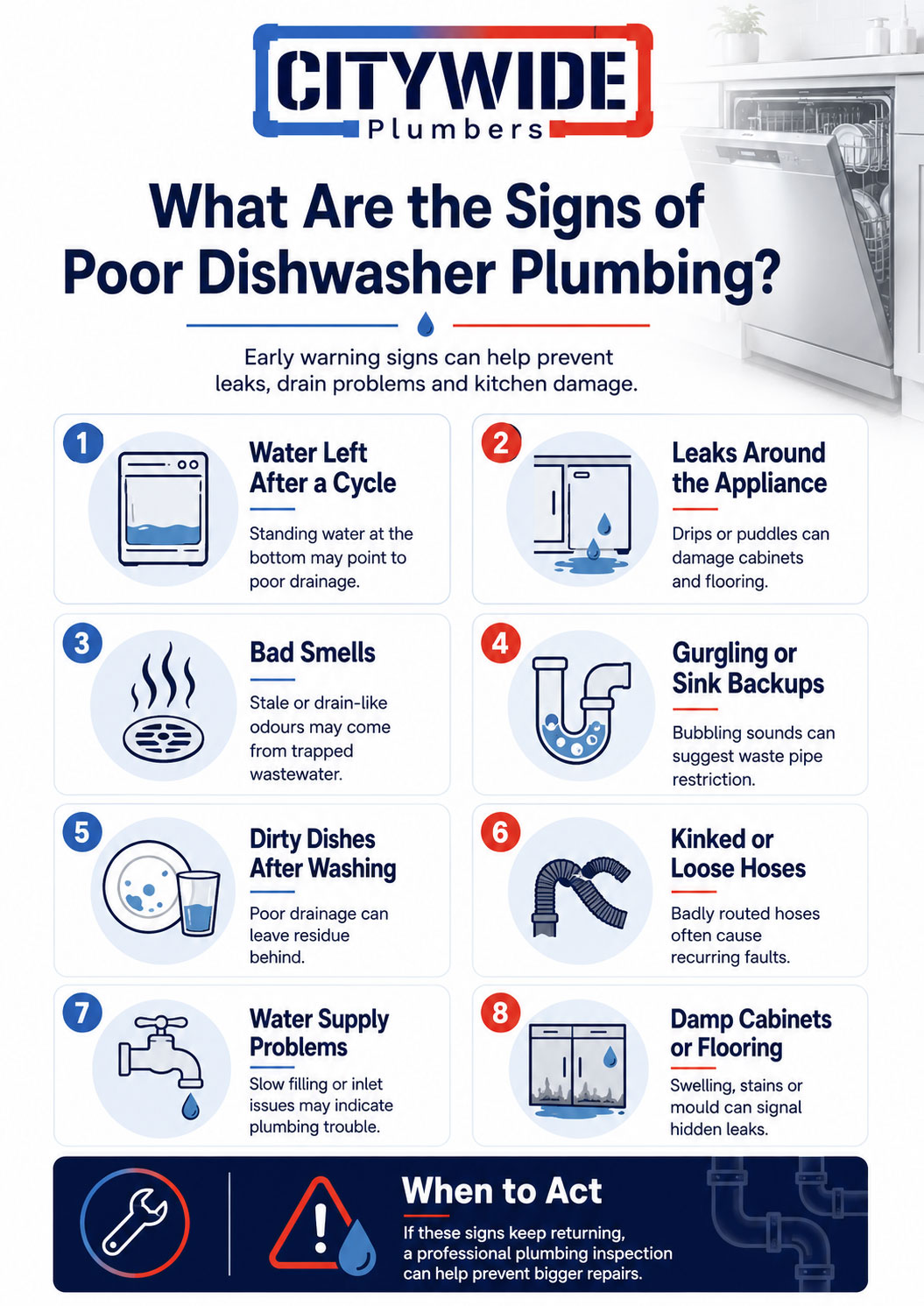 What Are the Signs of Poor Dishwasher Plumbing infographic